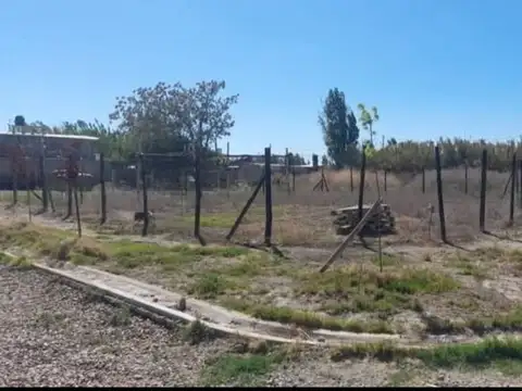 Milagros 1500
