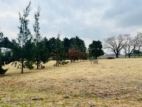 Ruta 8 ( Parada Robles)