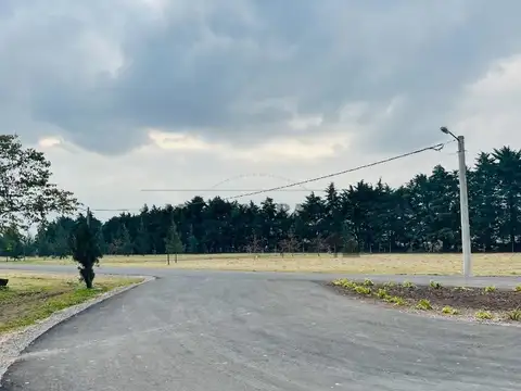 Terreno en Venta de 2000,0 m2