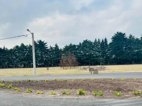 Terrenos Industriales