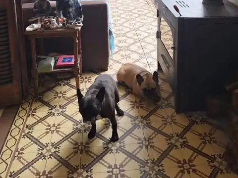 Casa en Venta en Plaza Mitre, USD 210.000