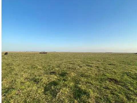 Madariaga. Campo 108 ha. Escuchamos Propuestas