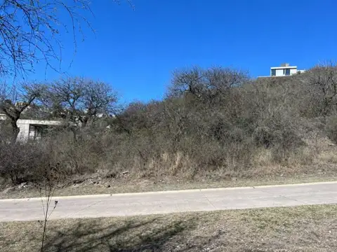 VENTA LOTE LA DESEADA SALIDA A INTERCOUNTRY 