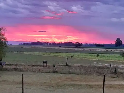 Alquiler temporario casa de campo. Vagues.