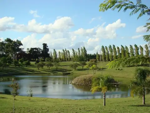 Zona Cardales