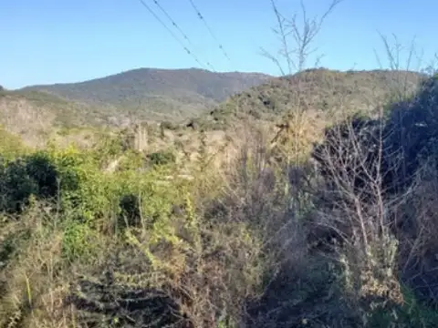 Terreno en Venta de 785,0 m2