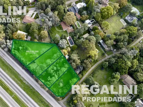 Avenida Brigadier General Juan Manuel De Rosas 22900