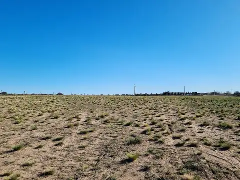 Lote de 1 hectárea en loteo "El Bagual" - Toay