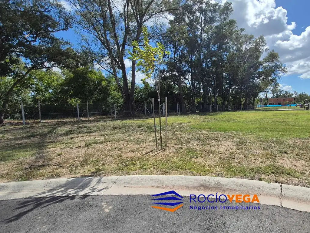 Lote en venta Santa Sofia Pilar del Este