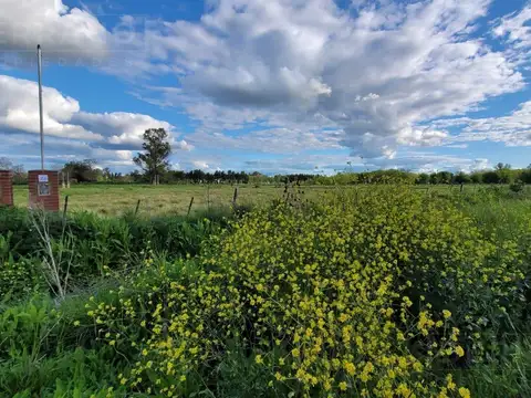 Venta Lote Barrio Los Pinos