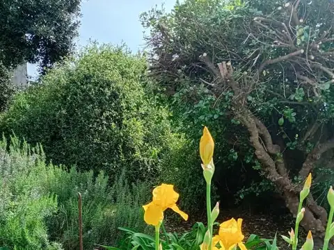 Casa en Venta 30 años