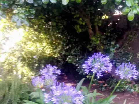 Casa en Venta al Sureste