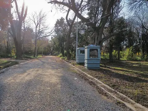 Lisandro De La Torre 4500