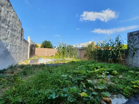 Terreno en Venta 22  mts Fondo