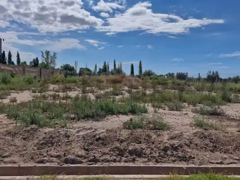 Terrada 1400, Piso 0