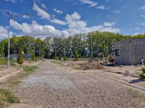 Terreno en Venta en Lujan De Cuyo, Lujan de Cuyo
