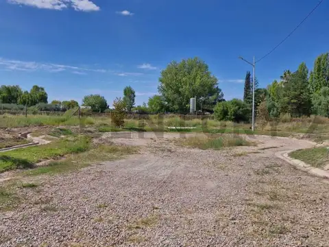 CENTURY 21 LUCIO BARROSO VENDE