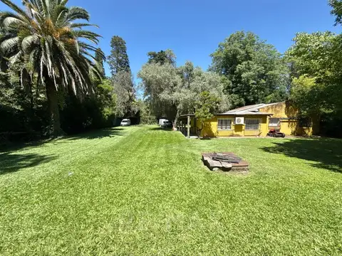 Albert Einstein 5900