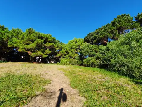 Terreno en Venta 12,50  mts Frente