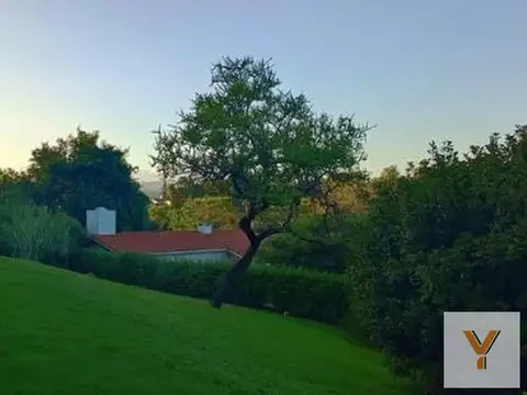 Guadalajara y Colón