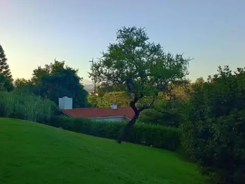 Guadalajara y Colón