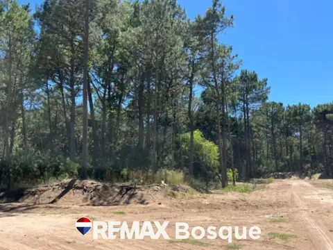 VENTA TERRENO EN CARILO BARRIO LOS ENEBROS