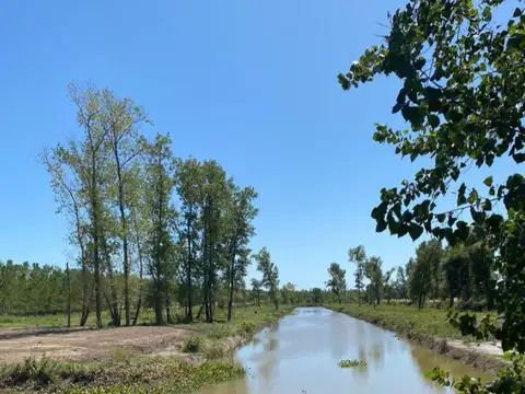 Terreno en Venta de 1250,0 m2