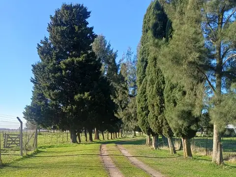 Campo de 30 hectáreas en venta sobre ruta 36