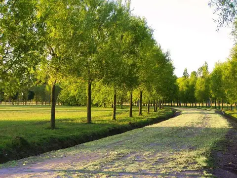 Terreno en Venta en Posada de los Lagos, USD 31.000