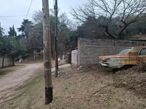 Los Tilos