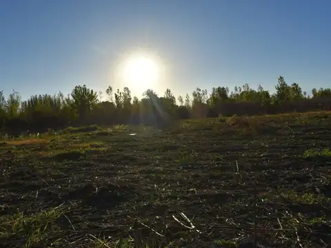 Terreno en Venta de 2000,0 m2