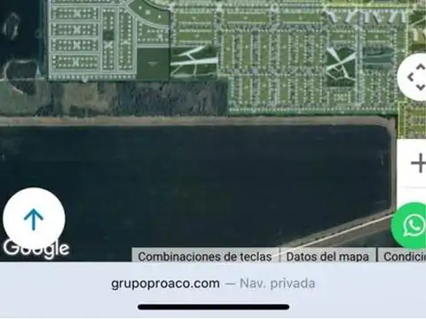 Publica 100
