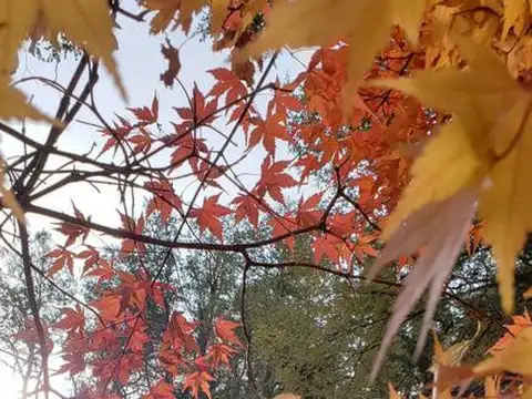 Altos del Sol calle Las Frutillas 46