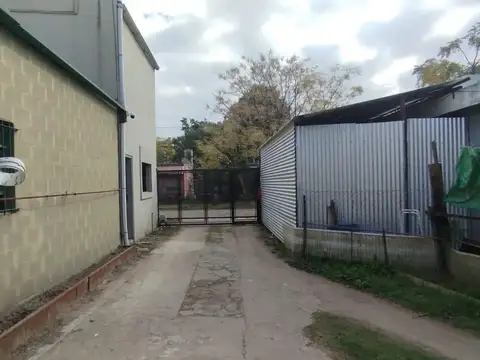 CURUPAYTI al 3100