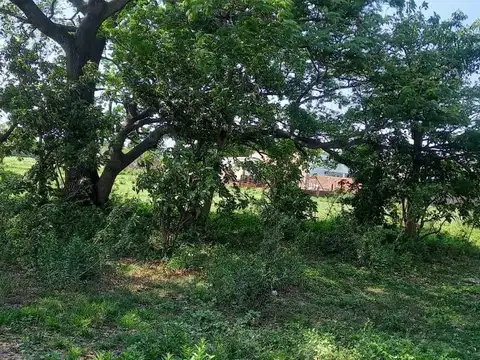 Terreno en Venta en Cavour, USD 40.000