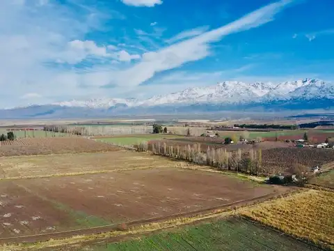 Campo en Venta en Tunuyan, Tunuyán