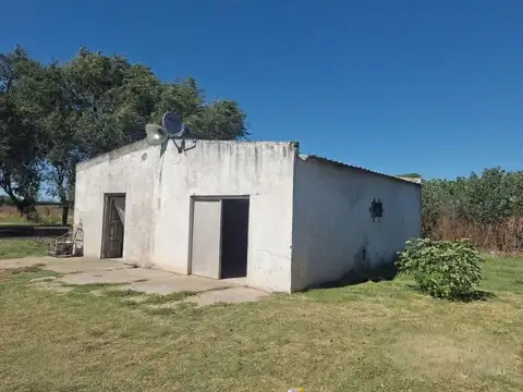 VENTA 14 HA PRODUCTIVAS MAS DOS VIVIENDAS