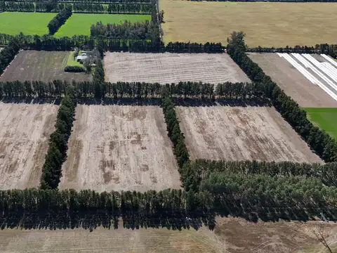 Campo en Venta Agricola