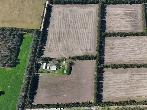 16 Has con mejoras – Lima, Zárate