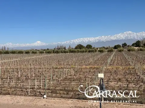 Terreno en Venta de 1020,0 m2