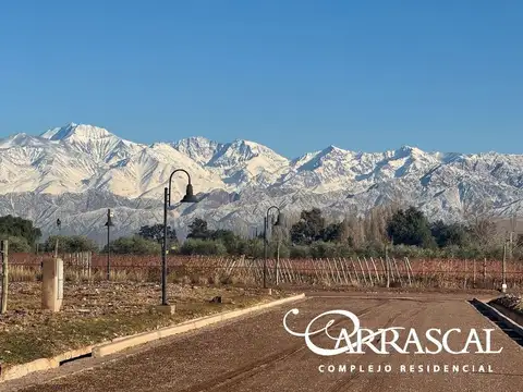 Lote premium 1020m2 en venta Carrascal B Privado