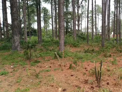 Venta de lote a USD11000 en Cayastá
