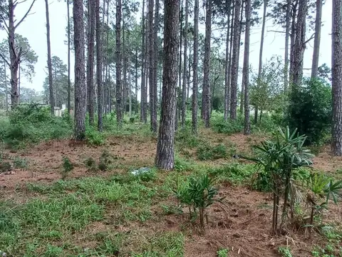 Terreno en Venta en Cayasta, USD 11.000