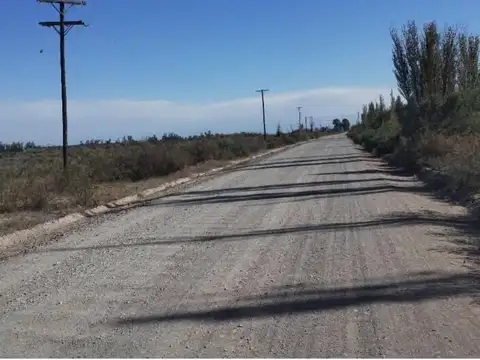 TALAVERA Y CASI BRASERAS, EL CENTRAL , SAN MARTIN, MENDOZA