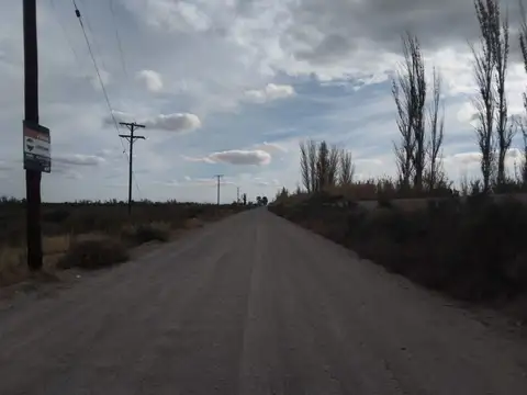 TALAVERA Y CASI BRASERAS, EL CENTRAL , SAN MARTIN, MENDOZA
