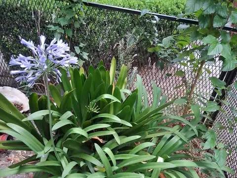 Depto Tipo Casa en Venta 9 años