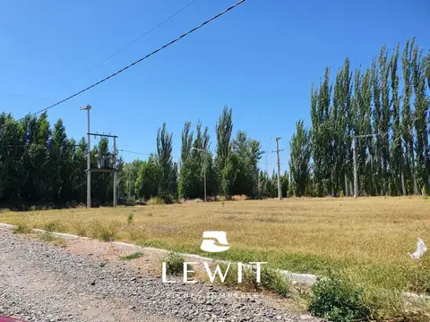 Rio Senguer al 2800