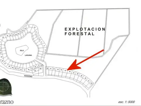 Rio / Arroyo Durazno Barrio El Durazno 100