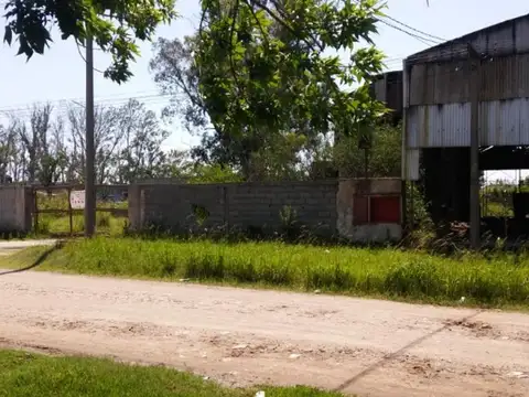 Calle 56 350
