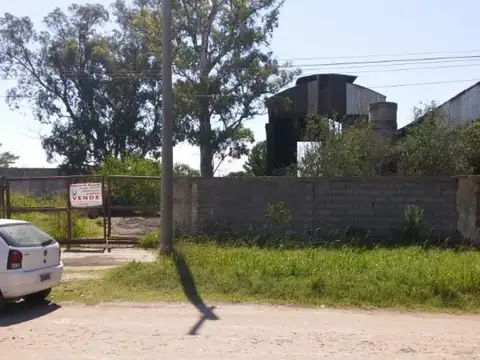 Calle 56 300